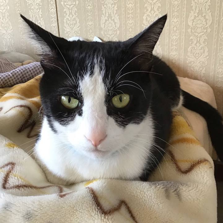 7698c572 e767 4cd8 96da 423524818c9c 1747213129367