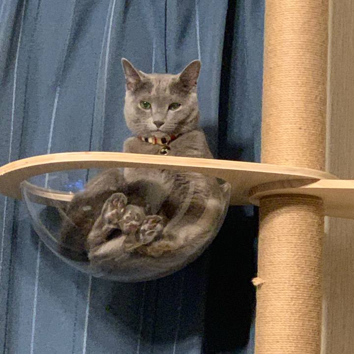 7698c7d8 af27 4468 861e 3cde20831087 1603102801564