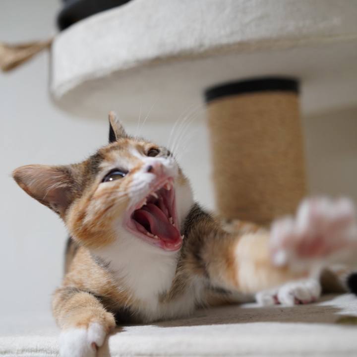 769906f2 2a65 44aa bb55 a73f0ba74ec2 1587134607189