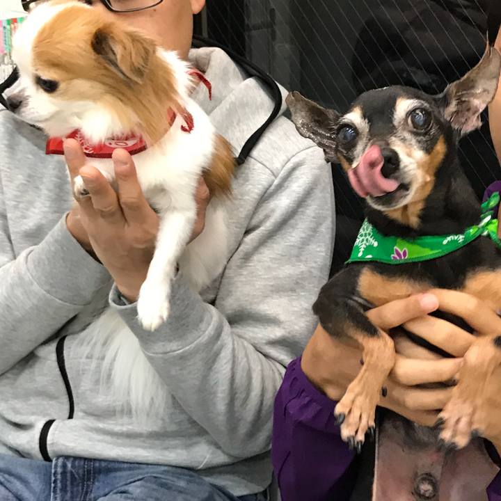 769952ba 7fae 4035 89f6 3a8d7bb4174e 1508067536871