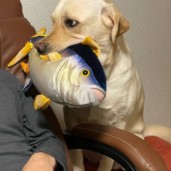 76999291 de02 424e 9ee1 a3d02d57d1d0 1675591240031