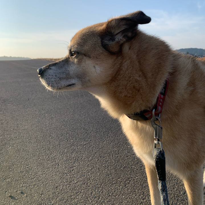 7699cb3a f7ae 462a b436 dc2de5828e07 1637453303026