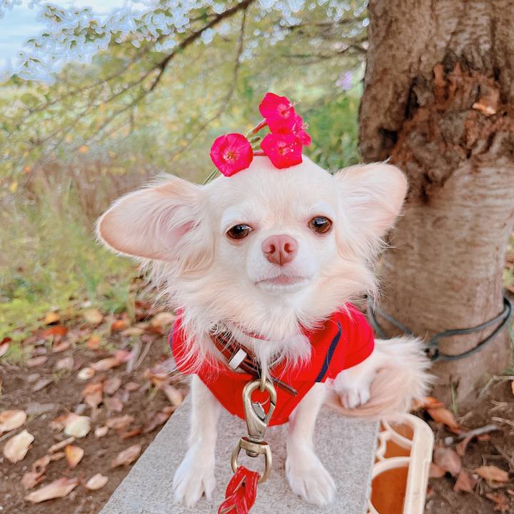 769a1990 5f70 4226 bbe8 8932bd0246d9 1665571182473