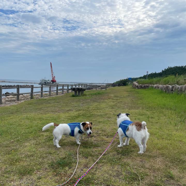 769a1c15 77dc 4e98 9ff6 3bbbd6e83932 1724283567449