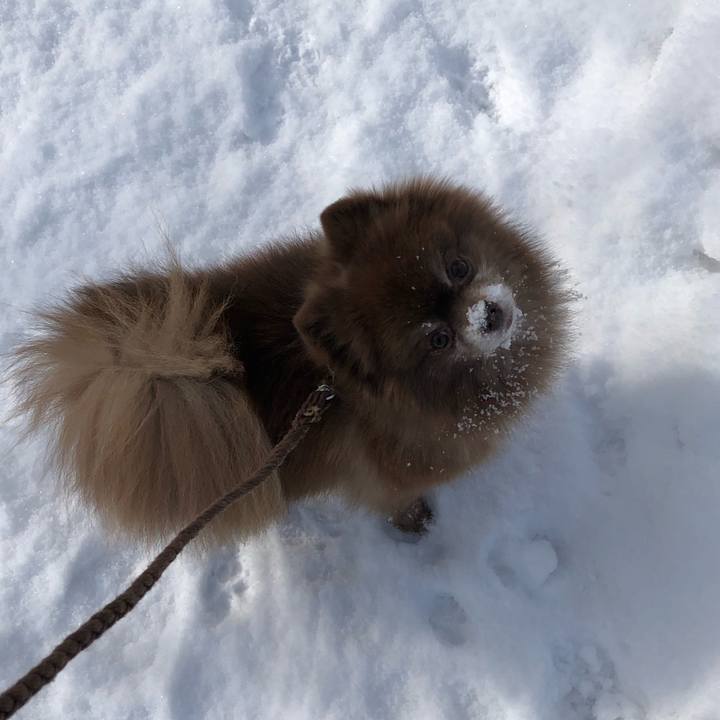 769a48f4 a17c 43f9 84bb 0ab588cd8592 1550191549303