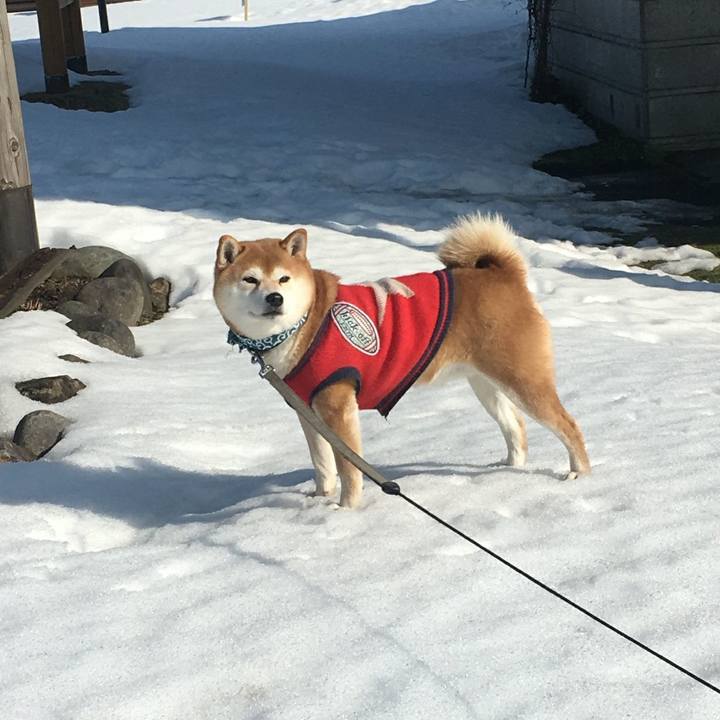 769a6386 fc6d 4272 a18a 54d17dcbc547 1516776598427