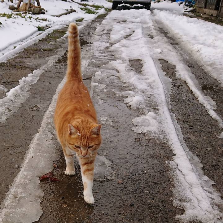 769a94e1 2f9a 472b a49a fa801cc483c1 1581141526964