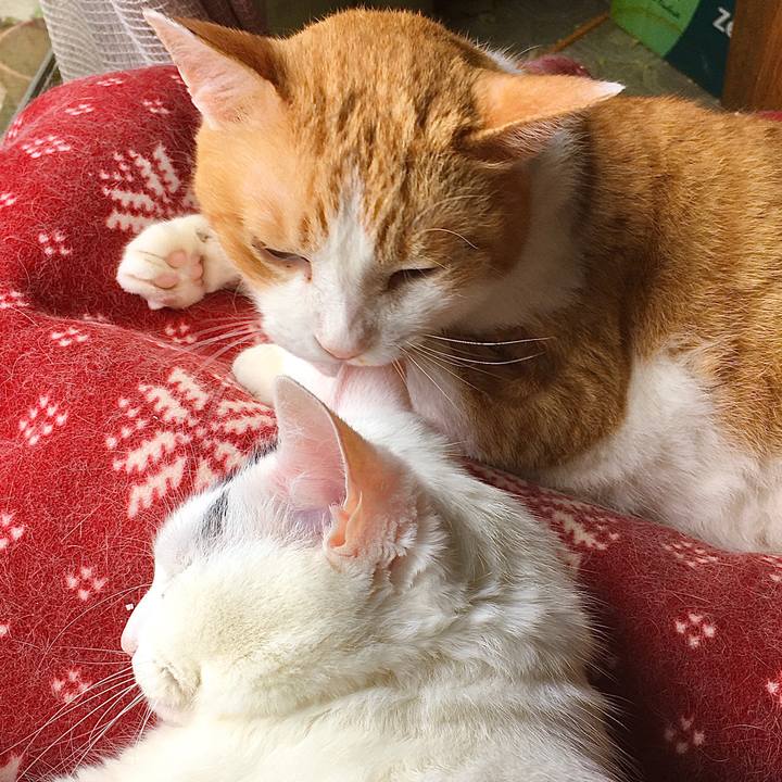 769aa5bb 9dbd 47d7 9c72 40bbed54806b 1593415394700