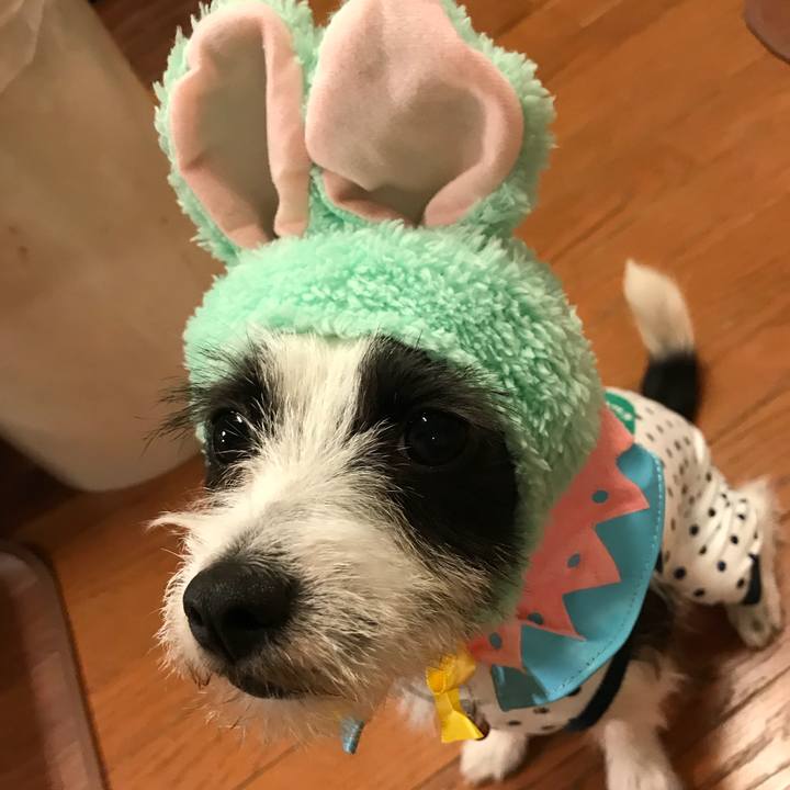 769aaf6c 17be 4f1a 8d5c 87775ee224f6 1525690092858