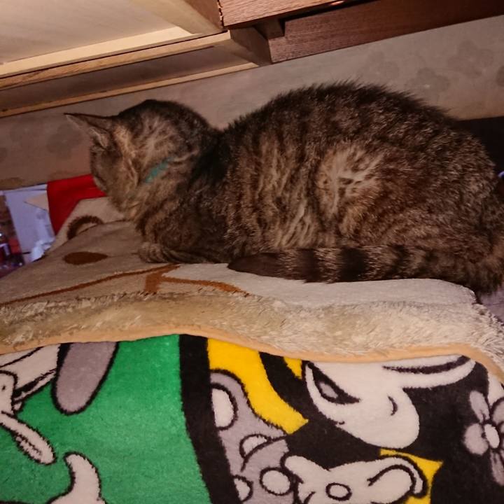 769ac21b b4c5 4969 9b60 917122745051 1571605643942