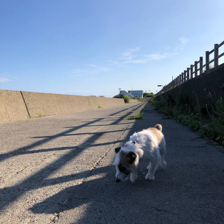 769adaed fb7a 4bf7 9b85 a39b3568b3d4 1598999710322