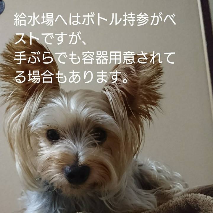 769b08d0 cacc 4a13 97b5 7eef4b47ecb5 1536300141954