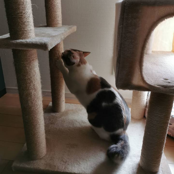 769b3131 b3a1 4234 9582 9fee29620b5d 1667359693518