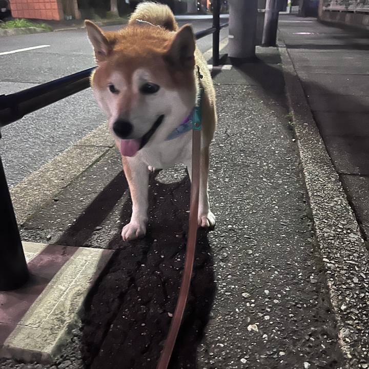 769b385a 524f 47c4 b899 3a551e02078d 1720349872548