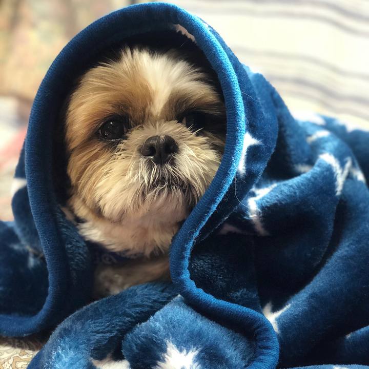 769b468f b656 4e71 b97b 1a623efc5b37 1573954175133