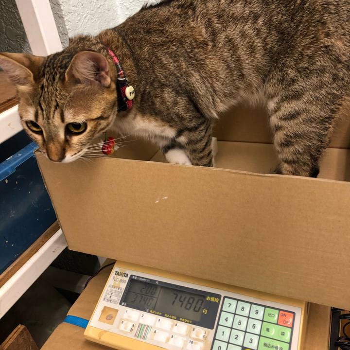 769b5062 44a3 4cf2 b656 6c7d7027fb81 1600134793275