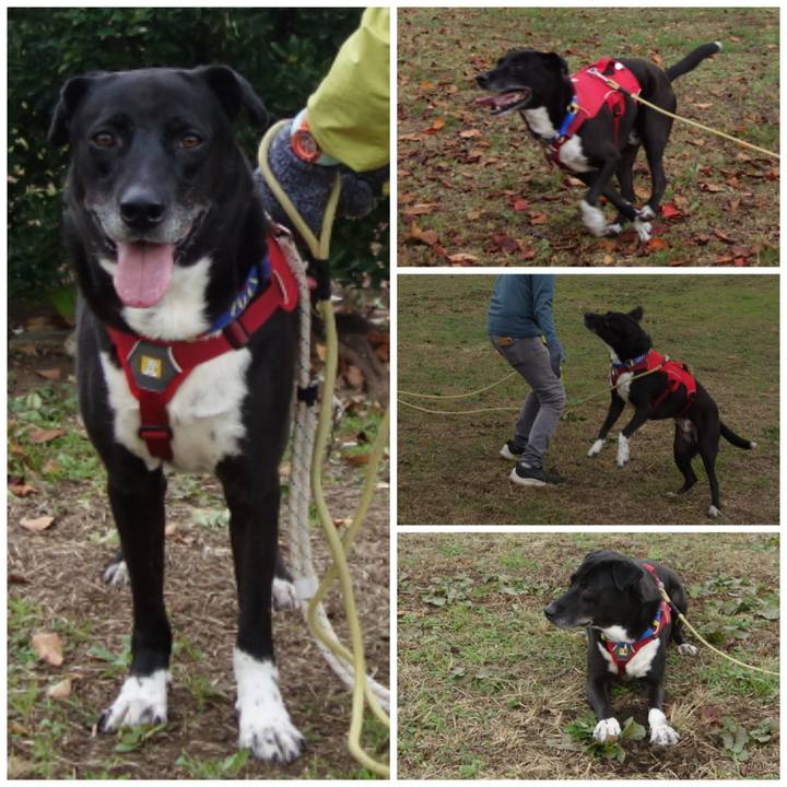 769b81ec 4bfa 4cd0 8bbe 8c052f41c808 1668904648056