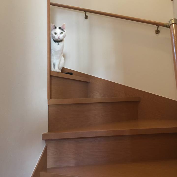 769b85f4 e55a 4474 a7ad 00734cdf489c 1572684720896