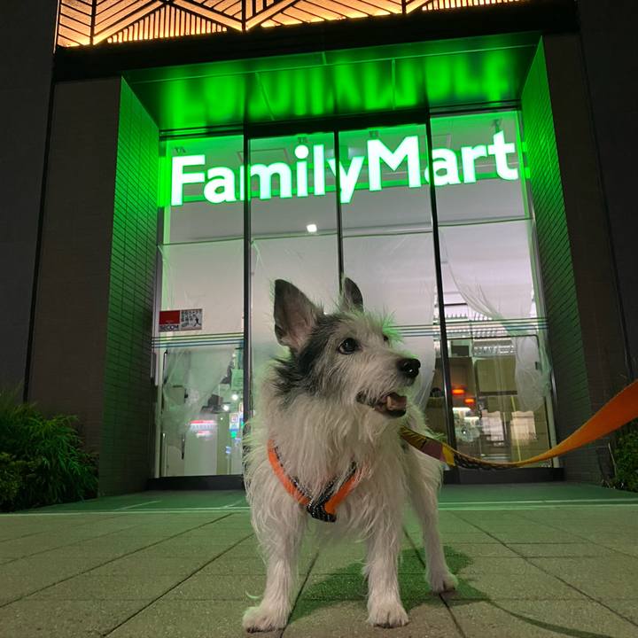 769b9745 6b79 45d6 892c 545dcbbde0a9 1627693587792