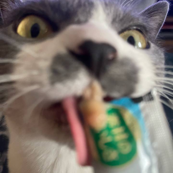 769bacd6 57cb 4d10 8f10 d9dd966d27c5 1727160418163