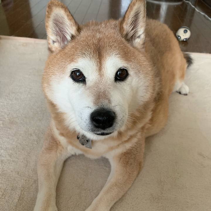 769bb7d1 4a5d 44b6 838c 04756c80431d 1565653941262