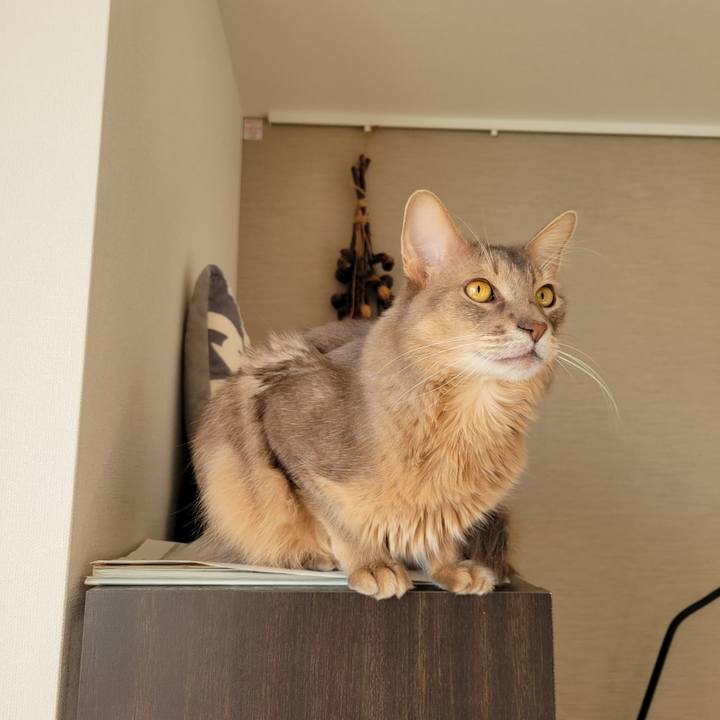 769bd3b8 6b9c 45d5 b3c6 2a728d547ce9 1639211096349