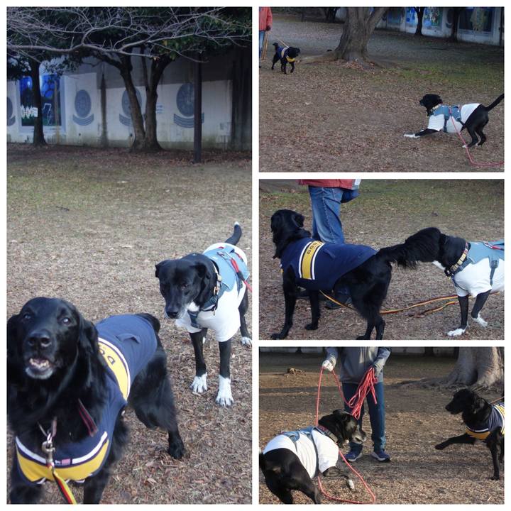 769bd895 e371 49e7 a51a e65bf65f8d94 1705105819101