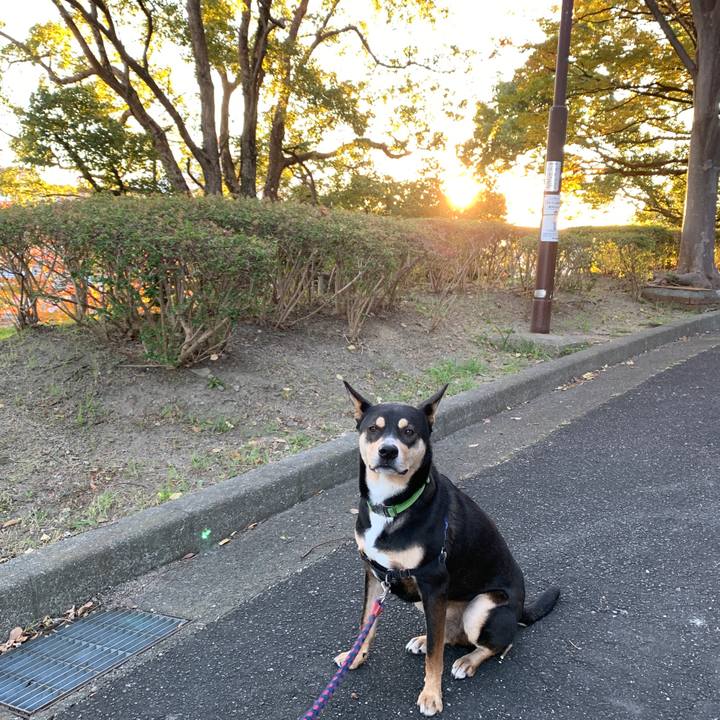 769be7f3 b522 444b b592 5cac2114d017 1573816844307