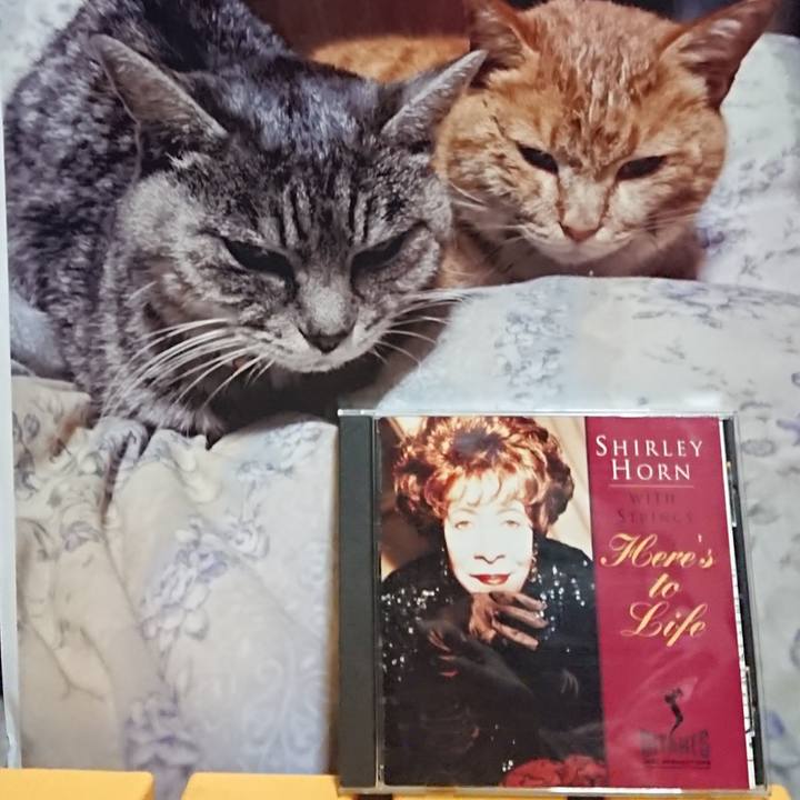 769bf062 4c2d 487c be64 474924e04f7a 1616930585687