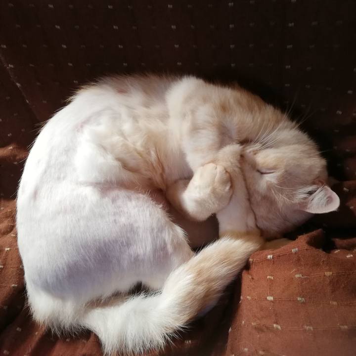 769c2063 6642 436b a9db 9d08f85df572 1664000877518