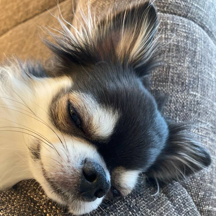 769c221a 5b5e 41f0 8270 53c7914a8762 1706407606347