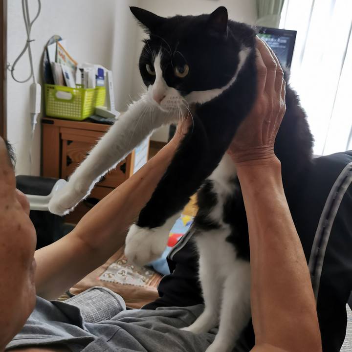 769c2260 9cbf 4fb4 ac53 7f6348d73bf1 1626510709779