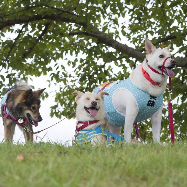 769c2482 be81 4f8a b9a3 e6175c49829a 1534416224503