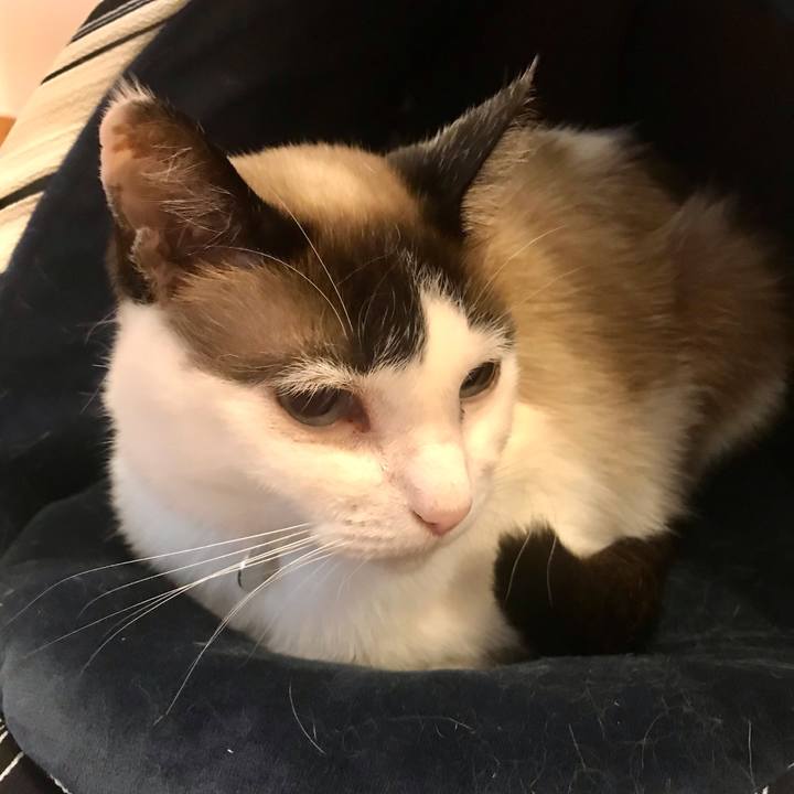 769c766a 1cc9 49c9 a678 ad8f46cd5f8a 1619657882621