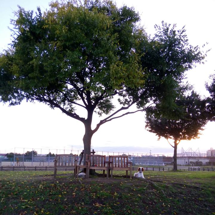 769cae63 dc62 4de1 b2f3 66ba4f287c23 1511253968019