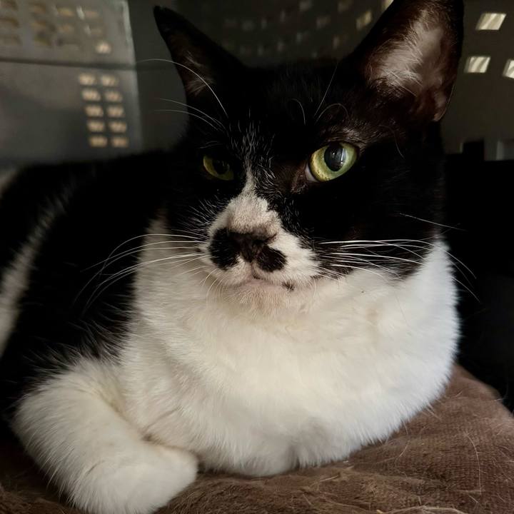 769cb66f 8c87 4119 bb25 33017f1a7435 1760314432460