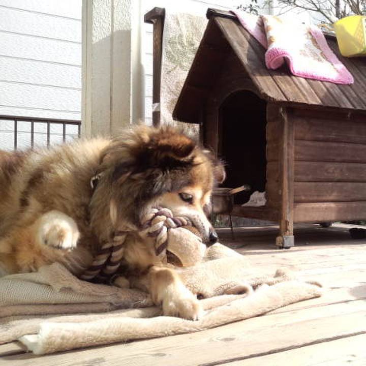 769ce01d dec1 4fb0 9916 eac83cfa9cf1 1564647251763