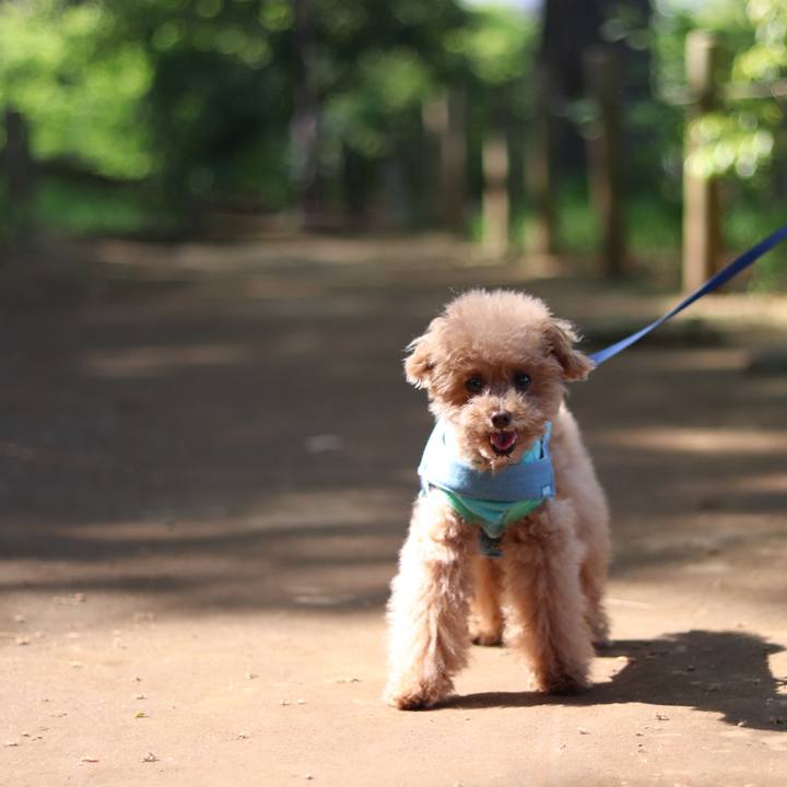 769d1c59 6fa6 49ee 93af 252b3d527d25 1591882354585