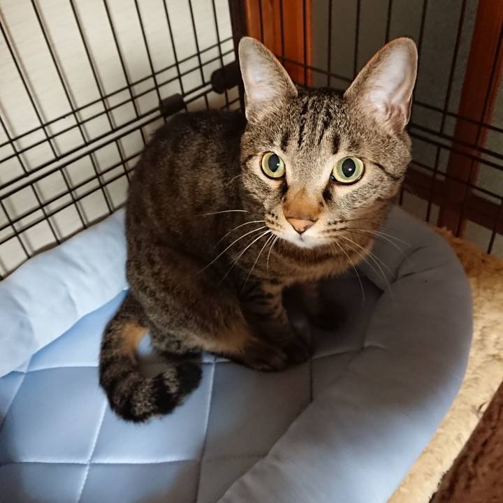 769d5e88 7f7d 44cc 9a11 098faa9fcb7d 1525094232214