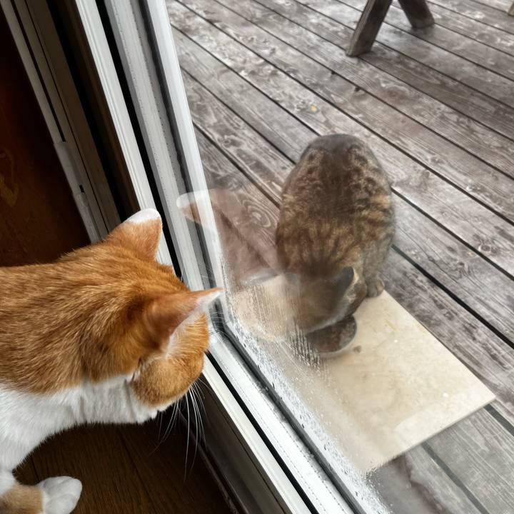 769d8fbd 6d8f 45a6 ad3b cf984dd9a4a2 1714781846295