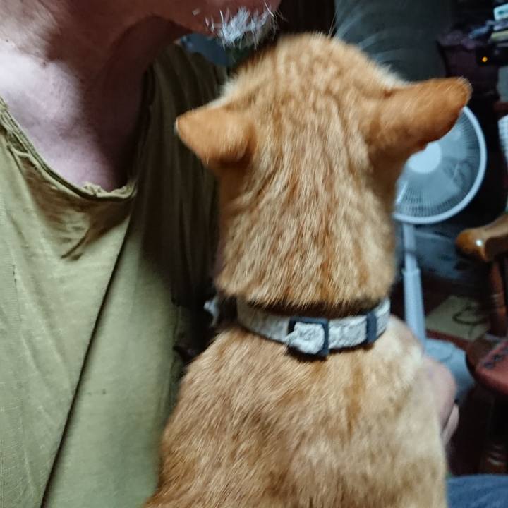 769d9ab3 98a6 4893 aff8 887fe5adb4cd 1596657815412