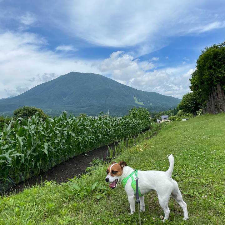 769da29c c677 4c39 ab9e 4425e8b01229 1625024404206