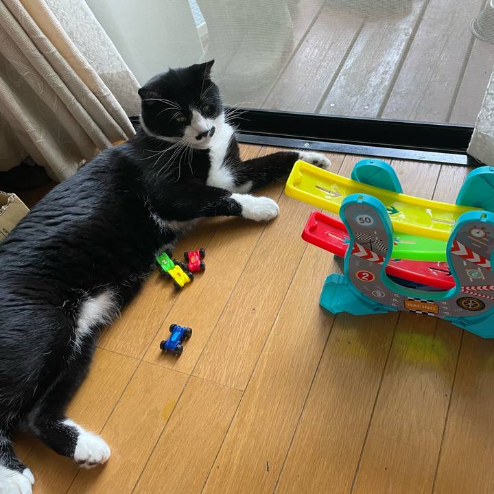 769dca6f 2ebc 40ab 83e0 79babf4cb39c 1655725666343