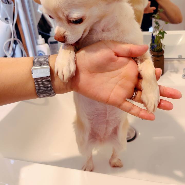 769dce60 ca30 4880 bed5 071aa19db4eb 1759665113883