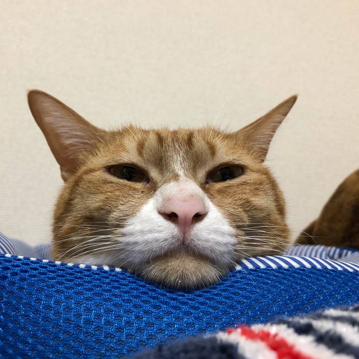 769dd705 dd68 4721 94c2 48f0120ddf8a 1604425566355