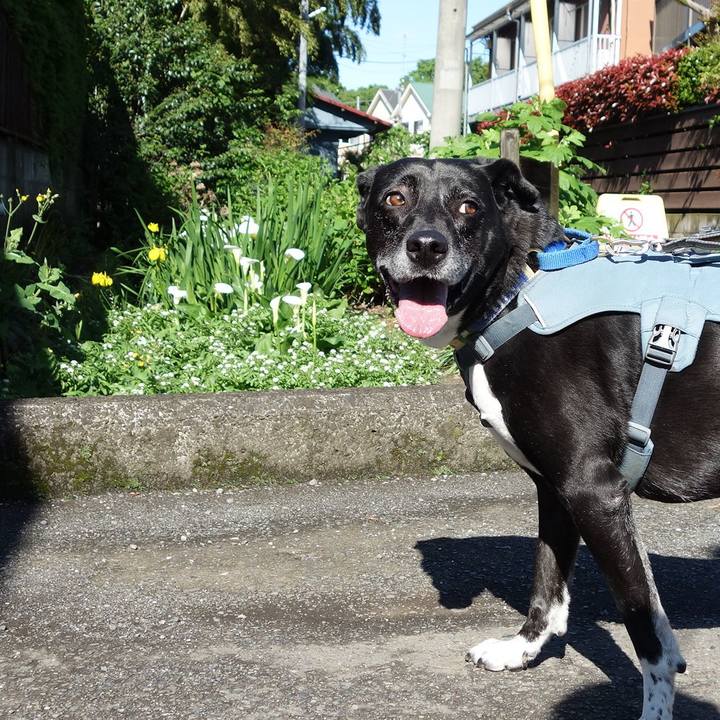 769dd972 19f2 4a73 a225 56258cd16a8c 1714004349195