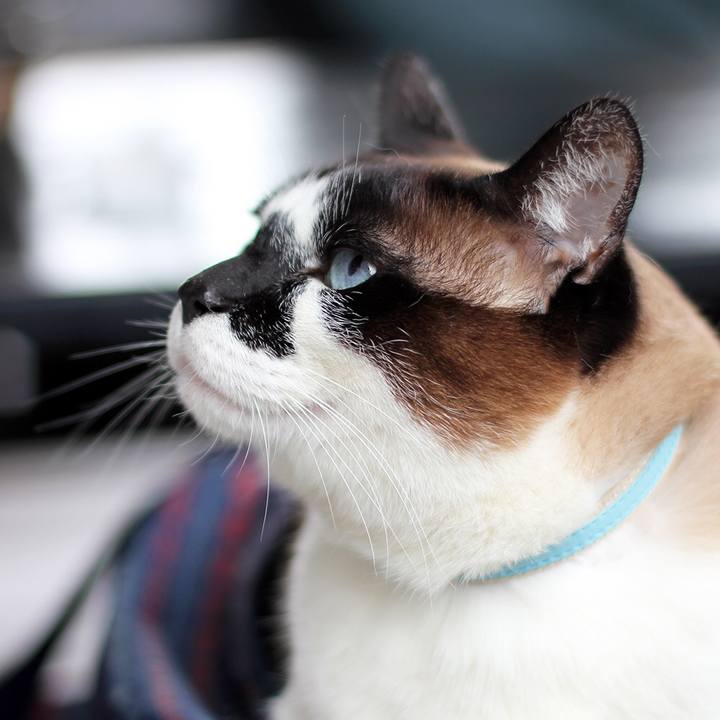 769de2b2 0b8c 49da 8e40 12614d09d188 1553168576537