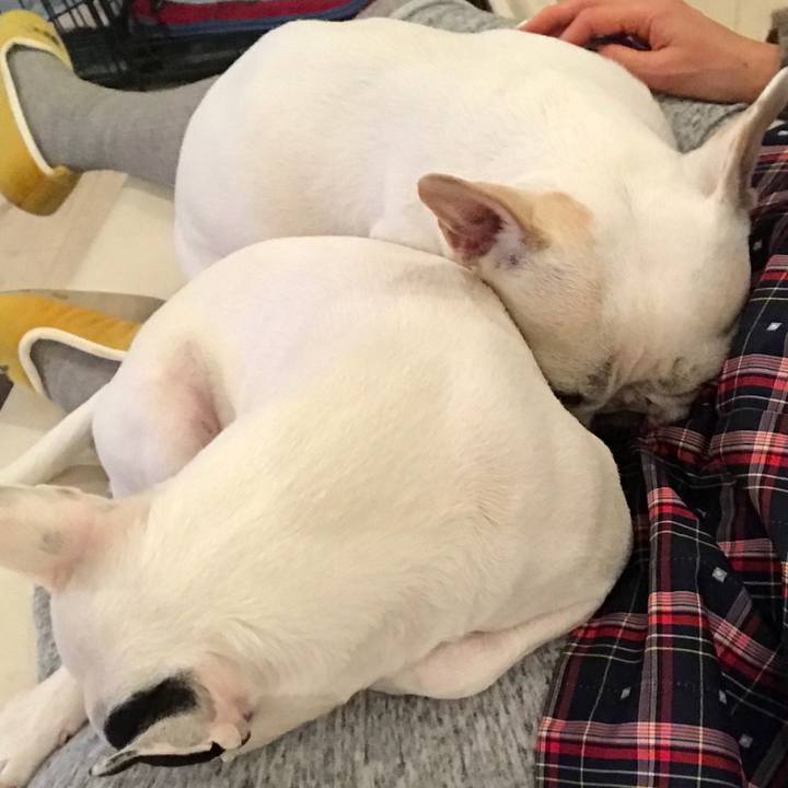 769e039a c71b 4e8d 95e2 b0e8e4d1cc6f 1515217342127