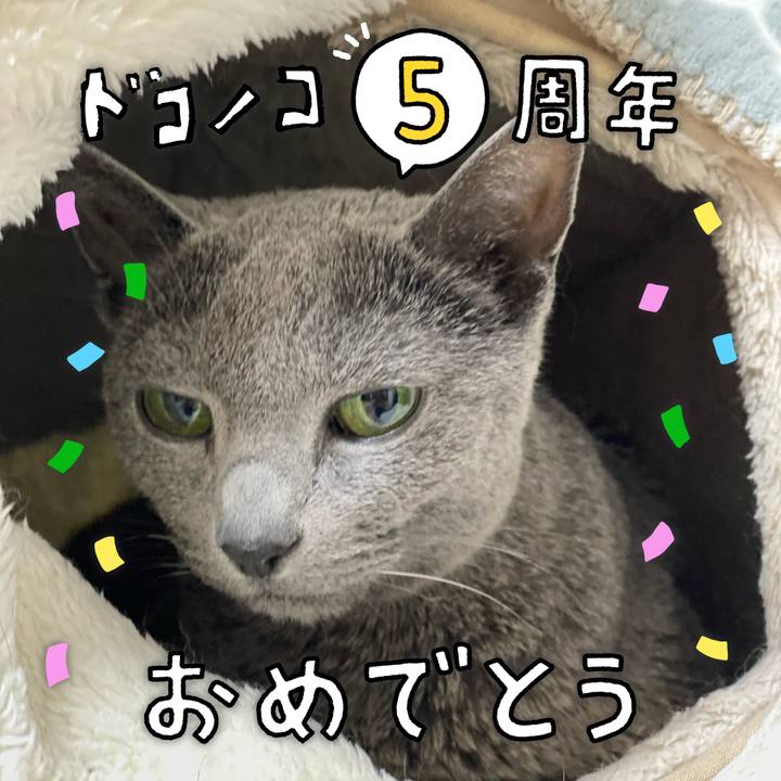 769e4c6b 08ee 4b63 bb8e 7f44f2d86046 1623026551322