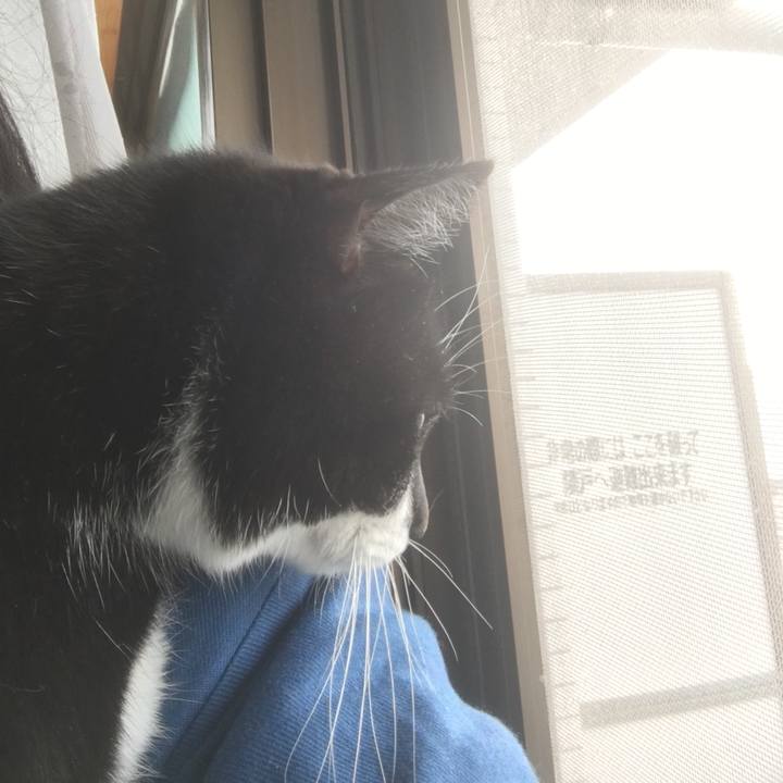 769e5230 4e53 45da 85f7 75766bff87b5 1516764500505